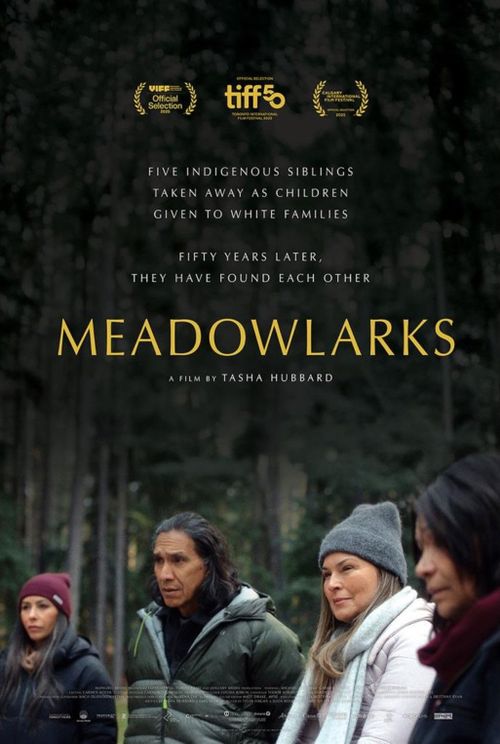 Meadowlarks