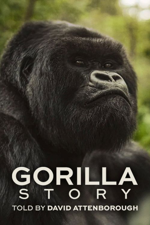 Une histoire de gorilles avec David Attenborough