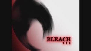 Réunion : Ichigo, Rukia et les Shinigamis