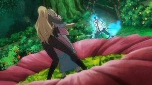 Le jardin des secrets