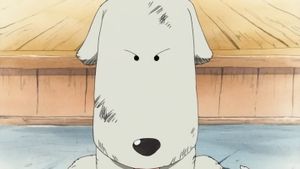 Situation désespérée ! Morge, le dresseur de fauves contre Luffy !