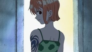 La sorcière du village de Cocoyashi ! La dirigeante du clan Arlong !