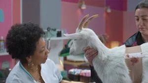 Épisode 7