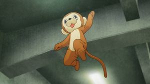 Épisode 5