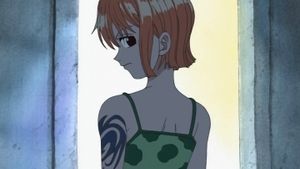 La sorcière du village de Cocoyashi ! La dirigeante du clan Arlong !