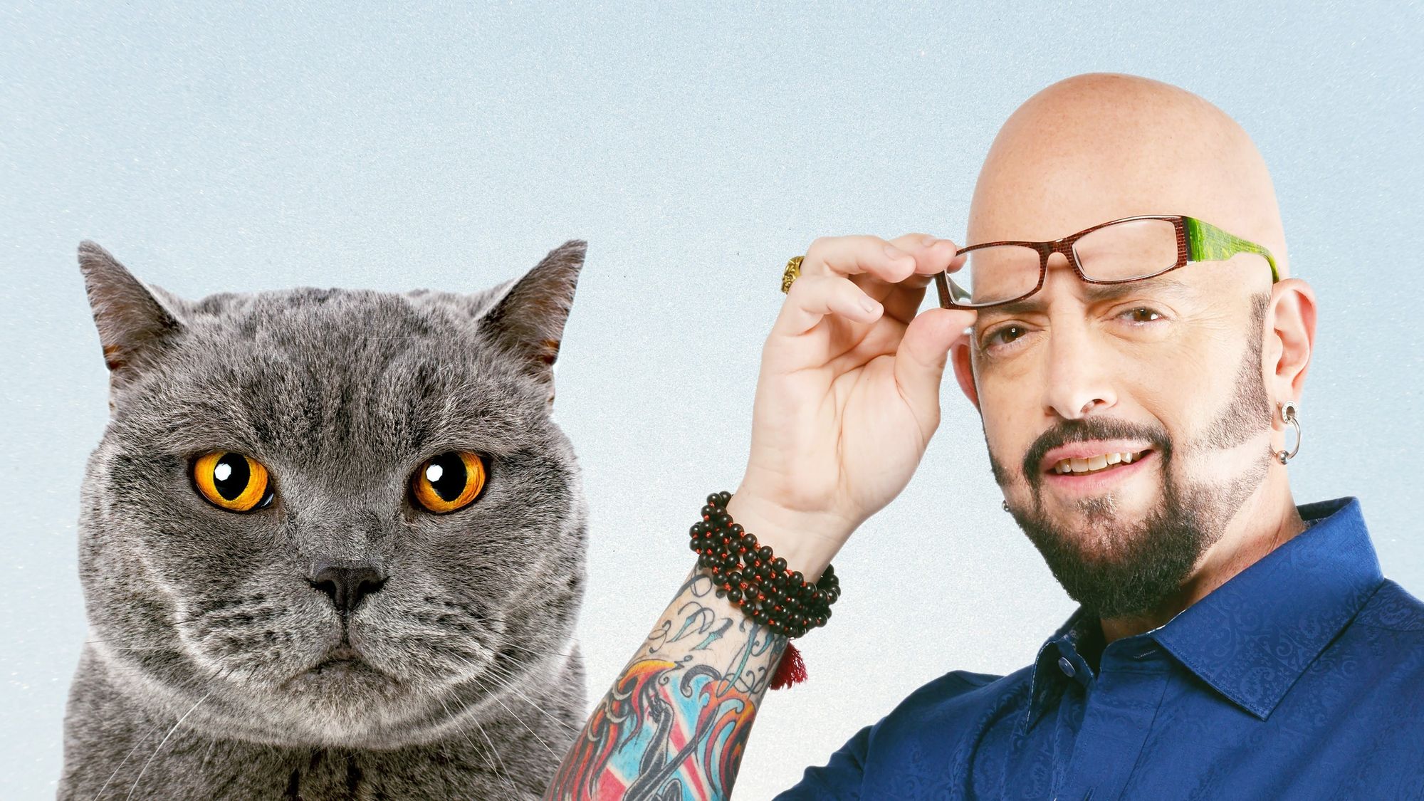 Hell's Cats