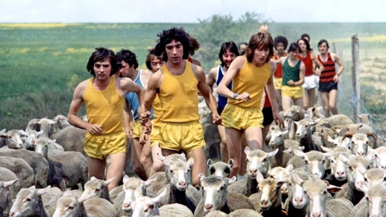 Les Fous du stade