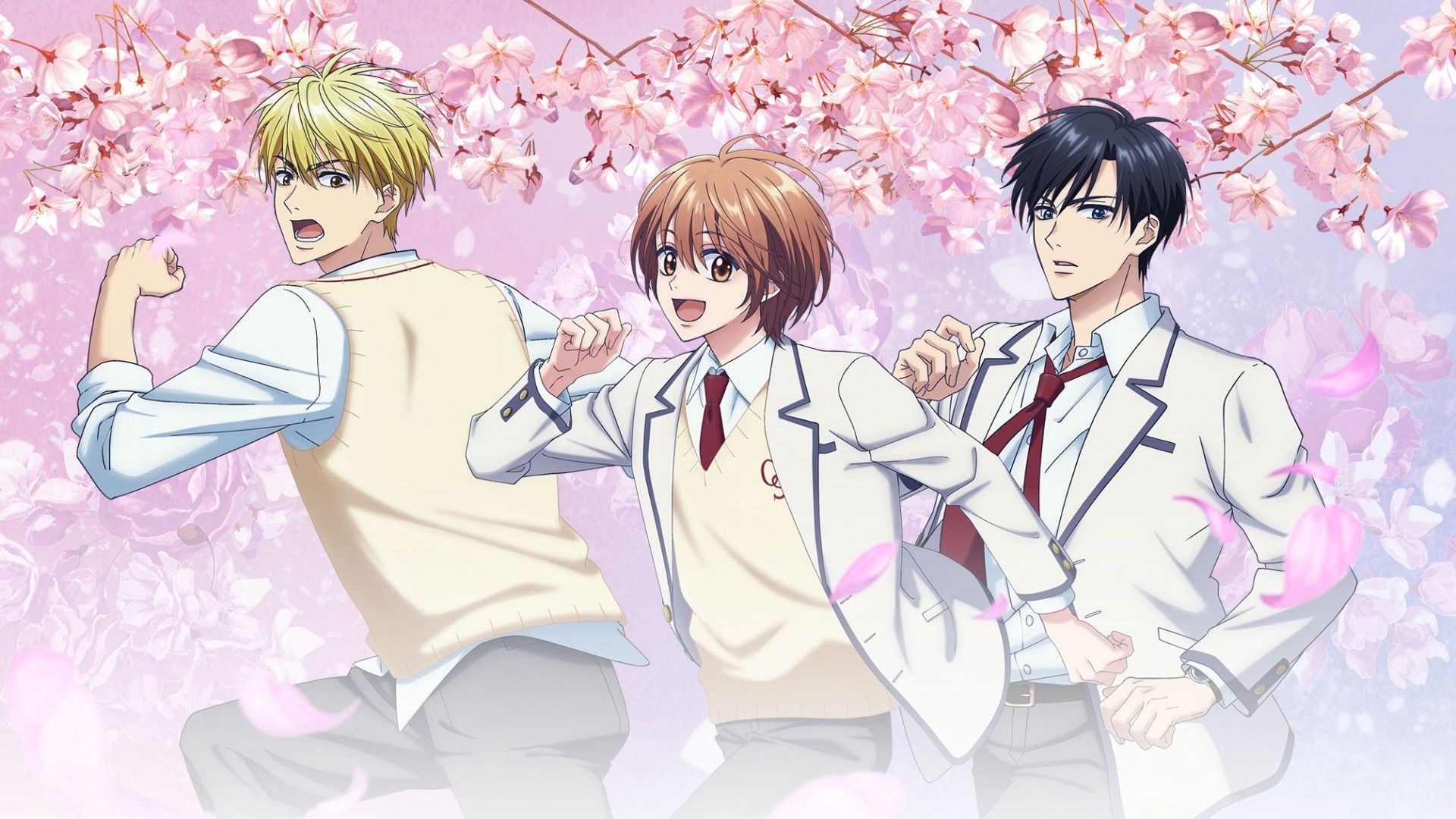 Hana Kimi