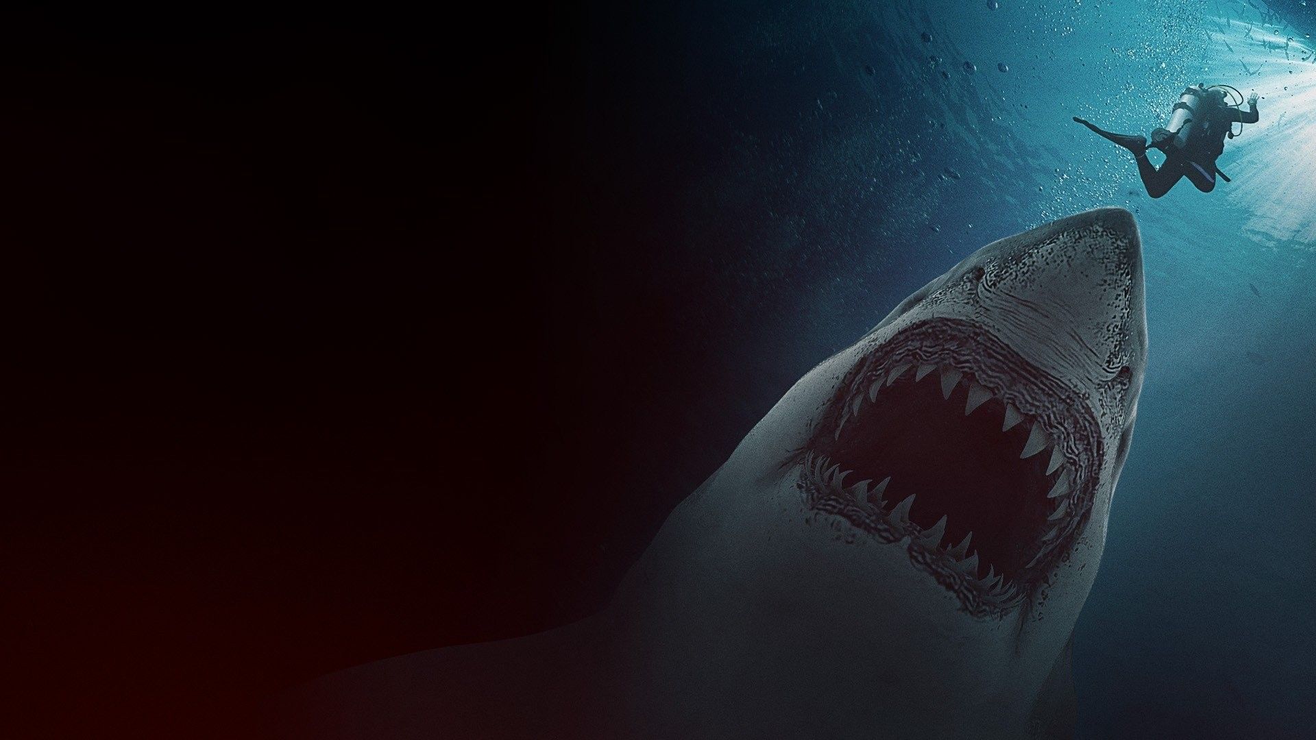 Great White Waters